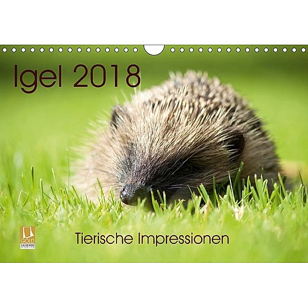 Igel 2018. Tierische Impressionen (Wandkalender 2018 DIN A4 quer) Dieser erfolgreiche Kalender wurde dieses Jahr mit gle, Steffani Lehmann
