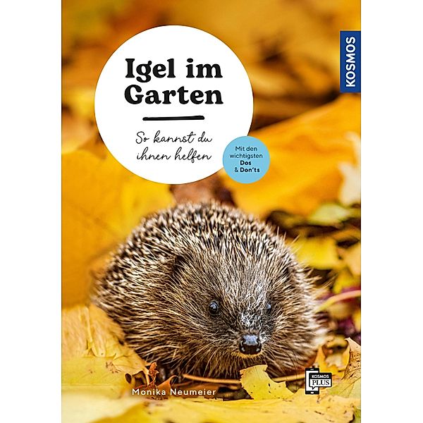 Igel im Garten, Monika Neumeier