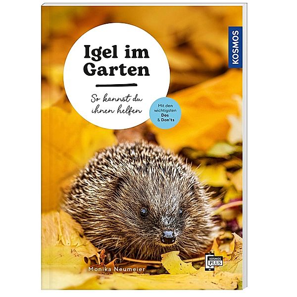 Igel im Garten, Monika Neumeier