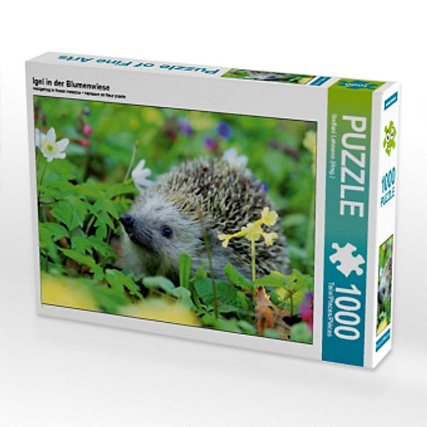 Igel in der Blumenwiese (Puzzle), Steffani Lehmann