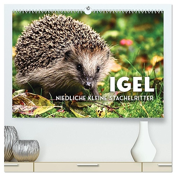 Igel - Niedliche kleine Stachelritter (hochwertiger Premium Wandkalender 2024 DIN A2 quer), Kunstdruck in Hochglanz, SF