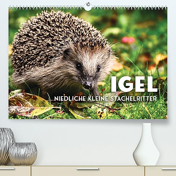 Igel - Niedliche kleine Stachelritter (Premium, hochwertiger DIN A2 Wandkalender 2023, Kunstdruck in Hochglanz), SF