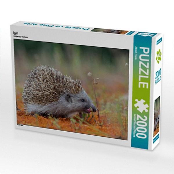 Igel (Puzzle), Alfred Trunk