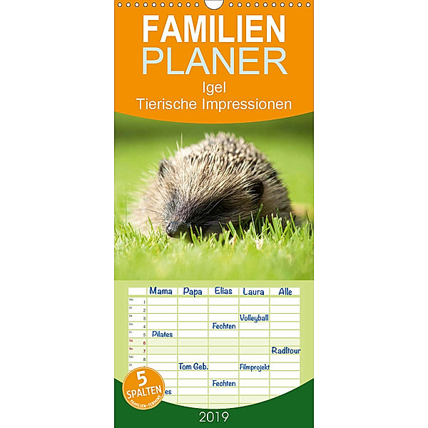 Igel - Tierische Impressionen - Familienplaner hoch (Wandkalender 2019 , 21 cm x 45 cm, hoch), Steffani Lehmann