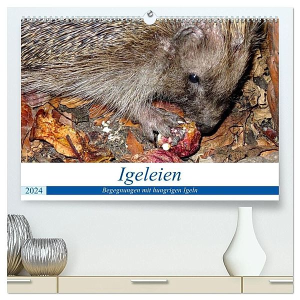 Igeleien - Begegnungen mit hungrigen Igeln (hochwertiger Premium Wandkalender 2024 DIN A2 quer), Kunstdruck in Hochglanz, Henning von Löwis of Menar