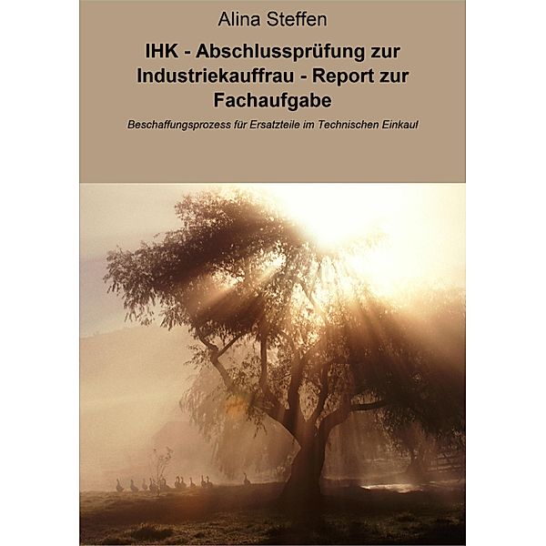 IHK - Abschlussprüfung zur Industriekauffrau - Report zur Fachaufgabe, Alina Steffen