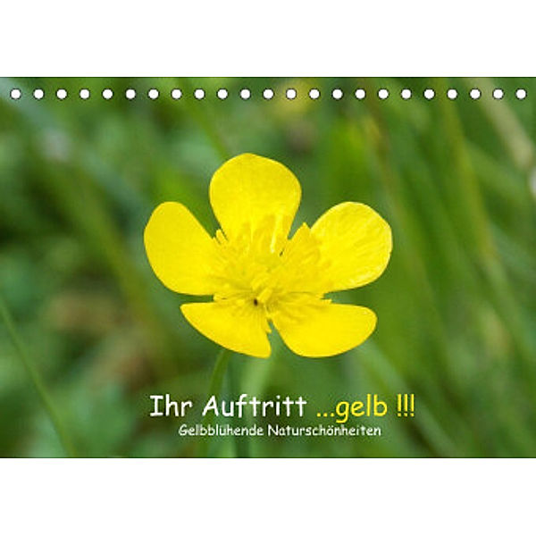 Ihr Auftritt...gelb !!! Gelbblühende Naturschönheiten (Tischkalender 2022 DIN A5 quer), Stephanie Sokoll