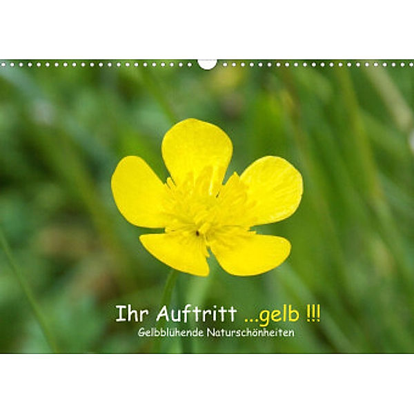 Ihr Auftritt...gelb !!! Gelbblühende Naturschönheiten (Wandkalender 2022 DIN A3 quer), Stephanie Sokoll