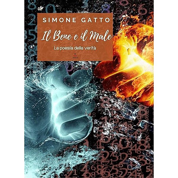 Il Bene e il Male, Simone Gatto