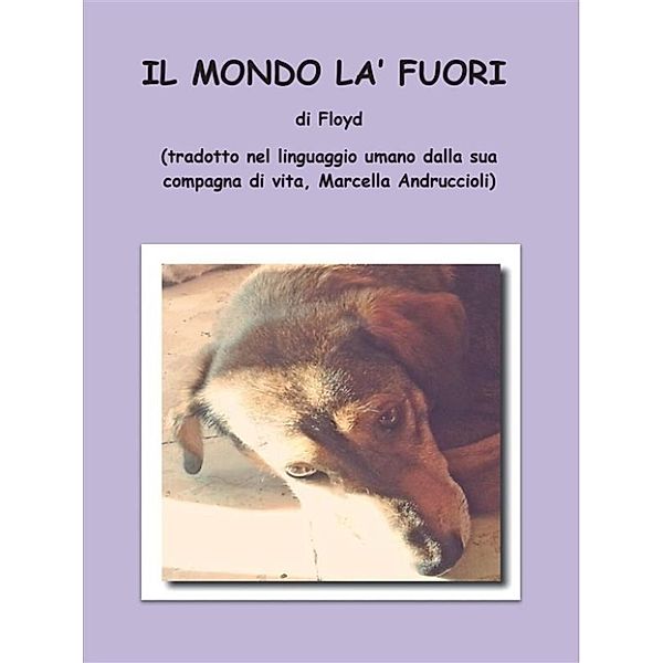 Il mondo là fuori, Floyd