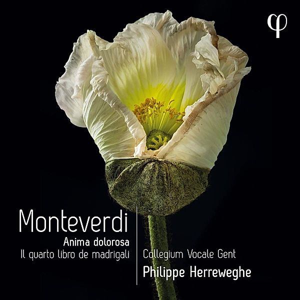 Il Quarto Libro De Madrigali, Philippe Herreweghe, Collegium Vocale Gent