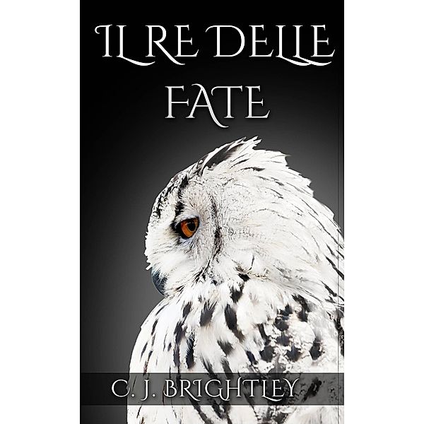 Il Re delle Fate (Fairy king series, #1) / Fairy king series, C. J. Brightley