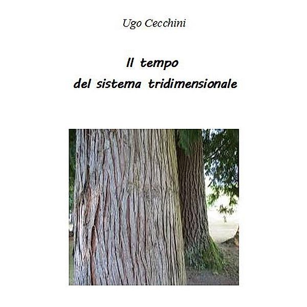 Il tempo del sistema tridimensionale, Ugo Cecchini