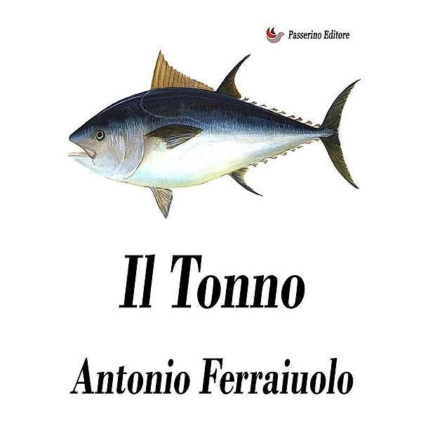 Il tonno, Antonio Ferraiuolo