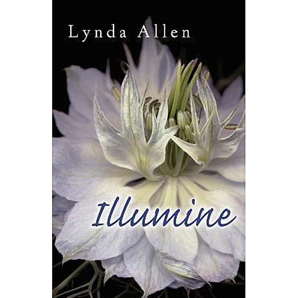 Illumine, Lynda Allen
