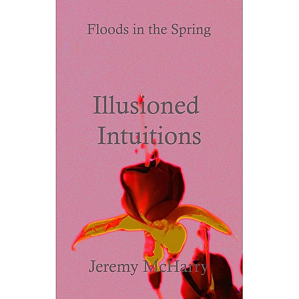 Illusioned Intuitions / Floods in the Spring Bd.6, Jeremy McHarry