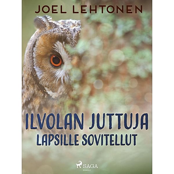 Ilvolan juttuja: lapsille sovitellut, Joel Lehtonen