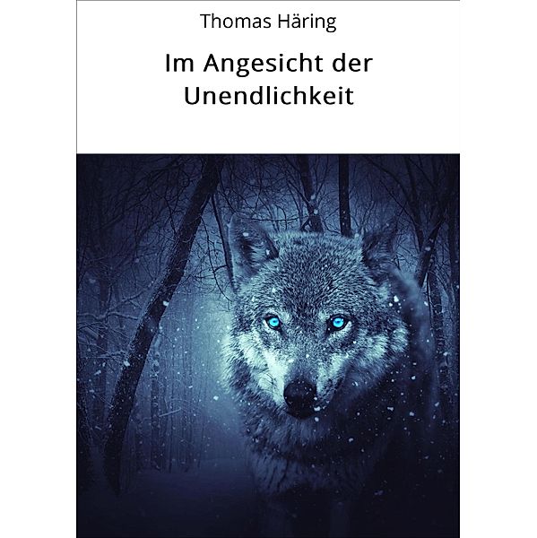 Im Angesicht der Unendlichkeit, Thomas Häring