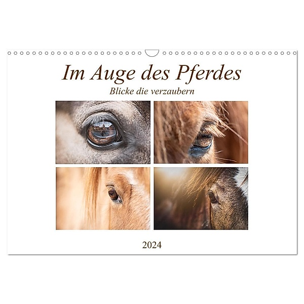 Im Auge des Pferdes (Wandkalender 2024 DIN A3 quer), CALVENDO Monatskalender, Petra Fischer
