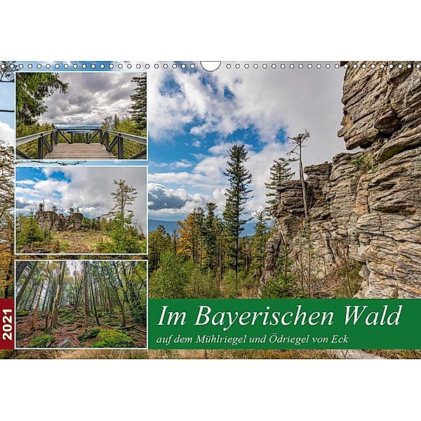Im Bayerischen Wald auf dem Mühlriegel und Ödriegel von Eck (Wandkalender 2021 DIN A3 quer), Christian Haidl