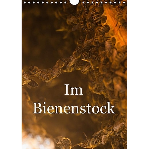 Im Bienenstock (Wandkalender 2017 DIN A4 hoch), Mark Bangert
