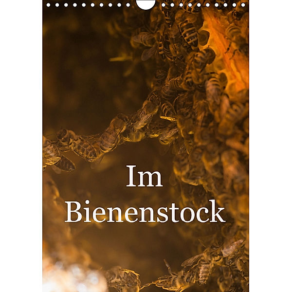 Im Bienenstock (Wandkalender 2019 DIN A4 hoch), Mark Bangert