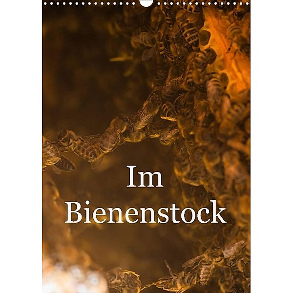 Im Bienenstock (Wandkalender 2023 DIN A3 hoch), Mark Bangert