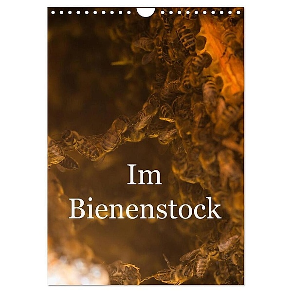 Im Bienenstock (Wandkalender 2024 DIN A4 hoch), CALVENDO Monatskalender, Mark Bangert