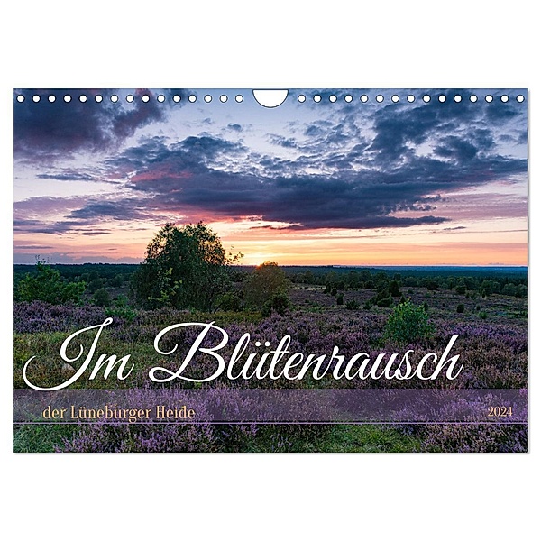 Im Blütenrausch der Lüneburger Heide (Wandkalender 2024 DIN A4 quer), CALVENDO Monatskalender, Calvendo, Sandra Lorenzen-Müller