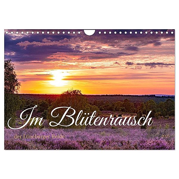 Im Blütenrausch der Lüneburger Heide (Wandkalender 2025 DIN A4 quer), CALVENDO Monatskalender, Calvendo, Sandra Lorenzen-Müller