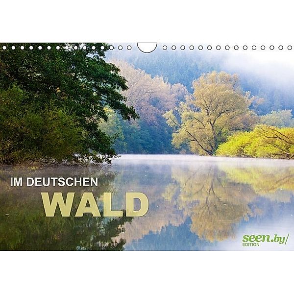 Im Deutschen Wald 2017 (Wandkalender 2017 DIN A4 quer), Volker Müther