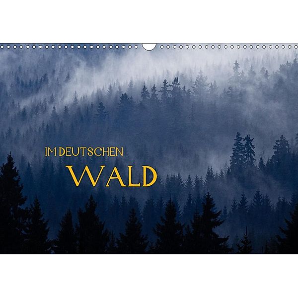 Im Deutschen Wald 2021 (Wandkalender 2021 DIN A3 quer), Volker Müther