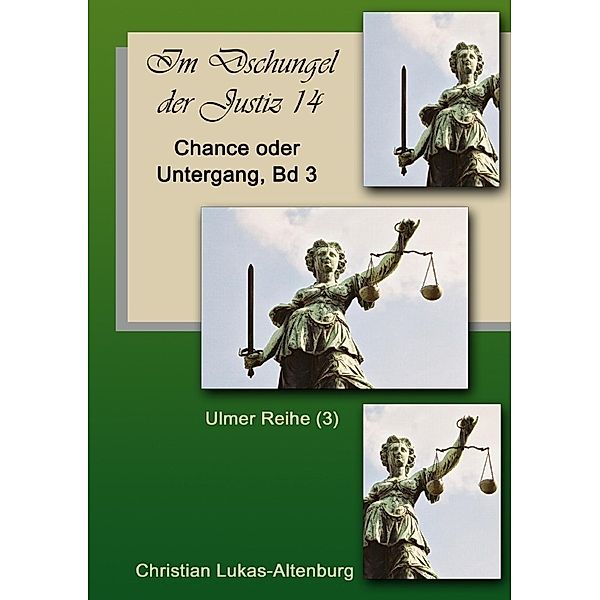 Im Dschungel der Justiz Ulmer Reihe / Im Dschungel der Justiz Chance oder Untergang Bd.3, Christian Lukas-Altenburg