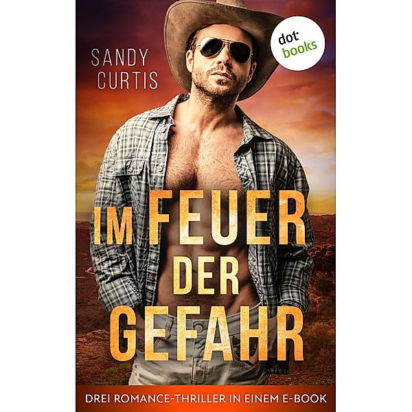 Im Feuer der Gefahr, Sandy Curtis