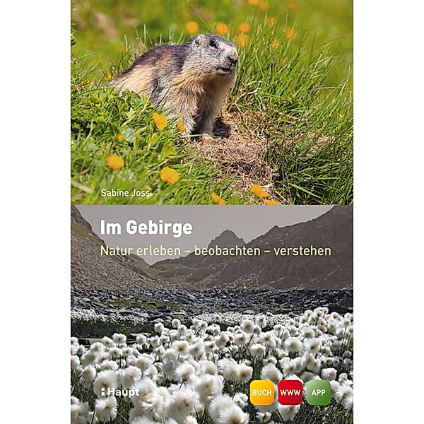 Im Gebirge / Natur erleben Bd.4, Sabine Joss