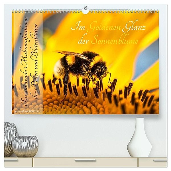 Im Goldenen Glanz der Sonnenblume (hochwertiger Premium Wandkalender 2025 DIN A2 quer), Kunstdruck in Hochglanz, Calvendo, Danica Krunic