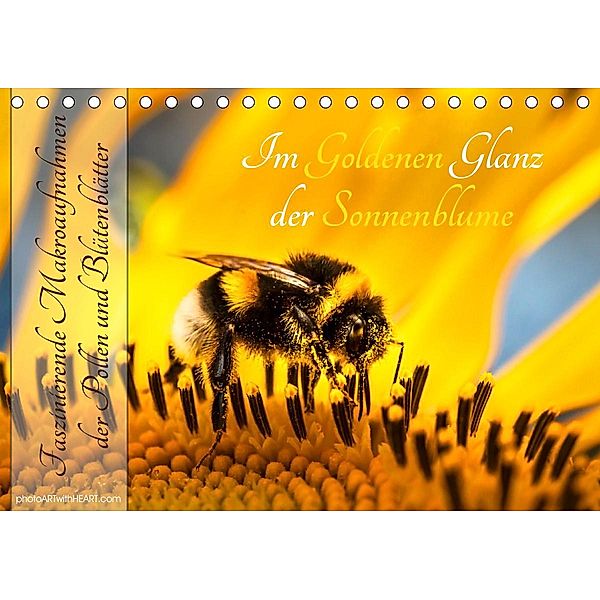 Im Goldenen Glanz der Sonnenblume (Tischkalender 2021 DIN A5 quer), Danica Krunic