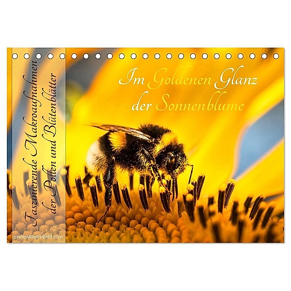 Im Goldenen Glanz der Sonnenblume (Tischkalender 2024 DIN A5 quer), CALVENDO Monatskalender, Danica Krunic