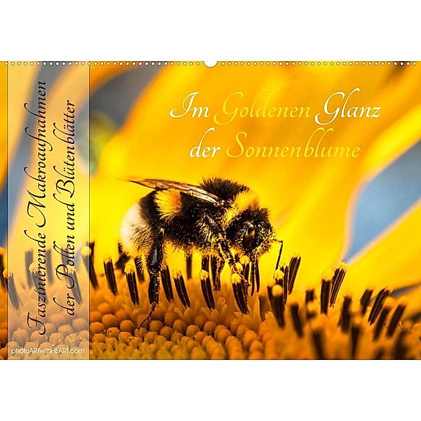 Im Goldenen Glanz der Sonnenblume (Wandkalender 2023 DIN A2 quer), Danica Krunic
