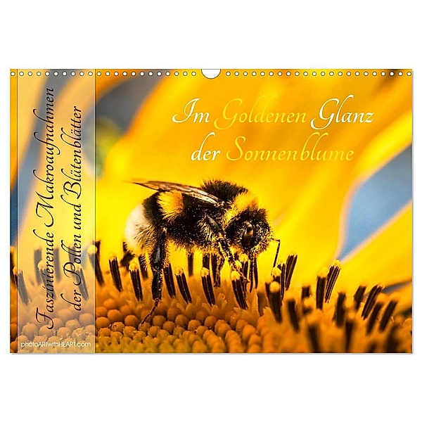 Im Goldenen Glanz der Sonnenblume (Wandkalender 2024 DIN A3 quer), CALVENDO Monatskalender, Danica Krunic