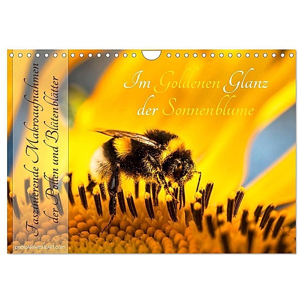 Im Goldenen Glanz der Sonnenblume (Wandkalender 2024 DIN A4 quer), CALVENDO Monatskalender, Danica Krunic