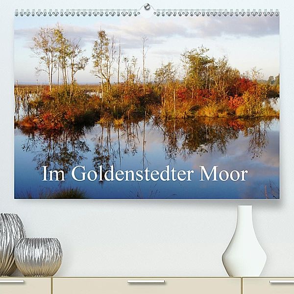 Im Goldenstedter Moor (Premium, hochwertiger DIN A2 Wandkalender 2020, Kunstdruck in Hochglanz), Gudrun Nitzold-Briele