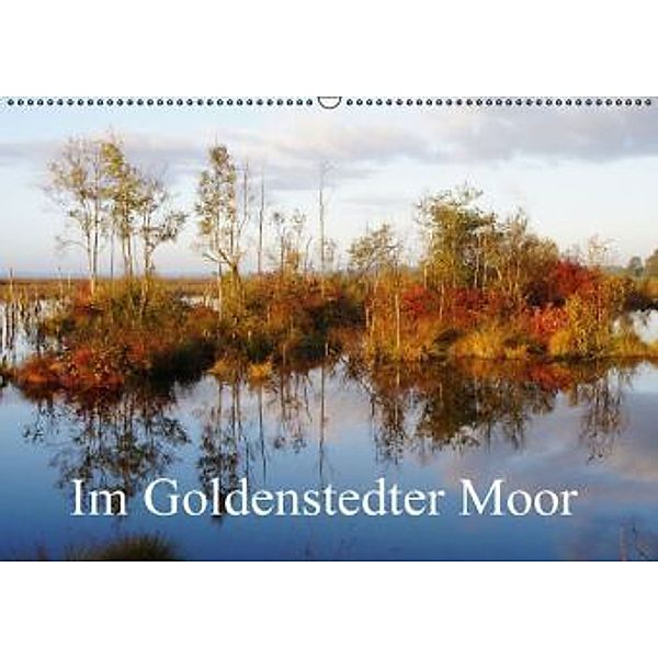 Im Goldenstedter Moor (Wandkalender 2016 DIN A2 quer), Gudrun Nitzold-Briele