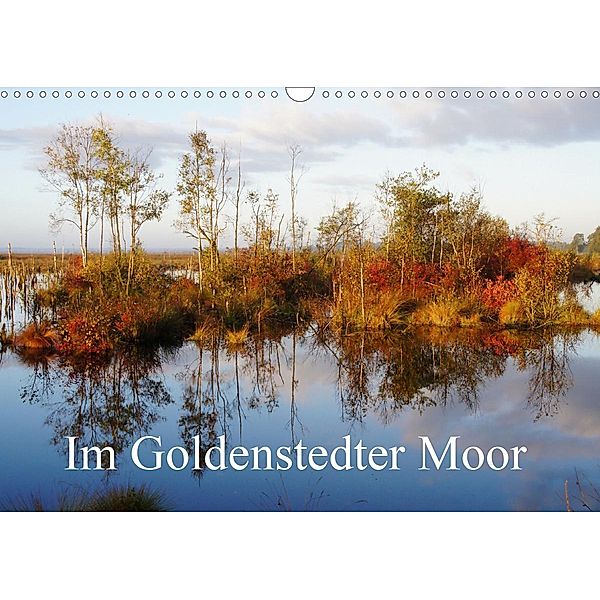 Im Goldenstedter Moor (Wandkalender 2021 DIN A3 quer), Gudrun Nitzold-Briele