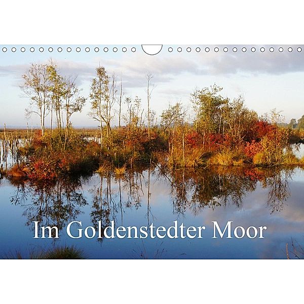 Im Goldenstedter Moor (Wandkalender 2021 DIN A4 quer), Gudrun Nitzold-Briele