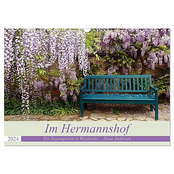 Im Hermannshof - Ein Traumgarten in Weinheim (Wandkalender 2024 DIN A3 quer), CALVENDO Monatskalender, Ilona Andersen