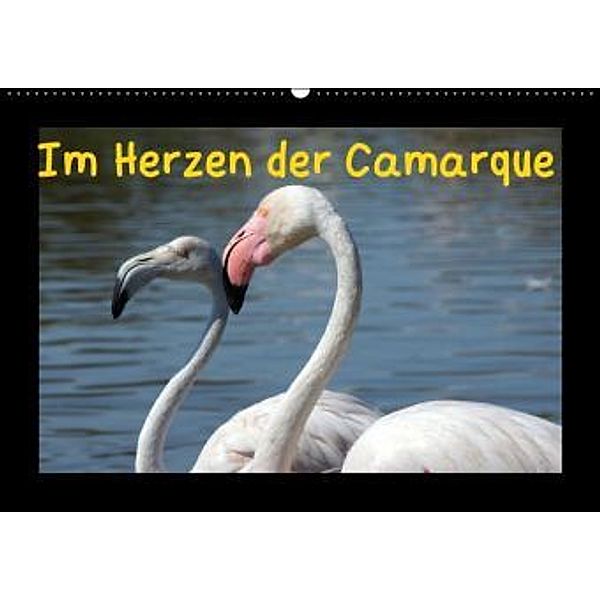 Im Herzen der Camargue (Wandkalender 2015 DIN A2 quer), Karsten Löwe