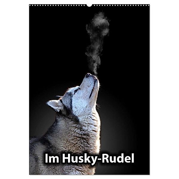 Im Husky-Rudel (Wandkalender 2024 DIN A2 hoch), CALVENDO Monatskalender, Sophie Luther