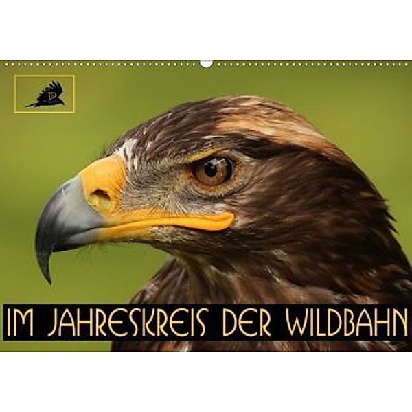 Im Jahreskreis der Wildbahn (Wandkalender 2020 DIN A2 quer), Dirk Stamm