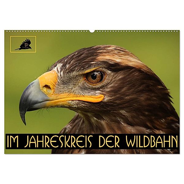 Im Jahreskreis der Wildbahn (Wandkalender 2024 DIN A2 quer), CALVENDO Monatskalender, Dirk Stamm